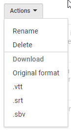 Export Subtitles